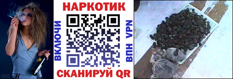 А ПВП Пестово